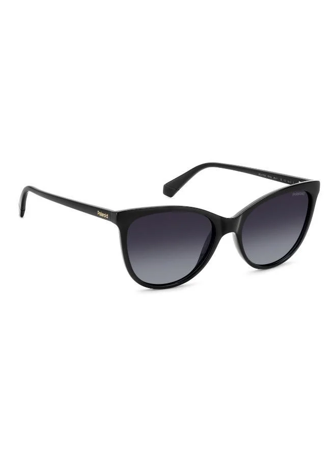 بولارويد Cat Eye Sunglasses Frames
